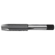 Spiral Point Tap, Plug, 2