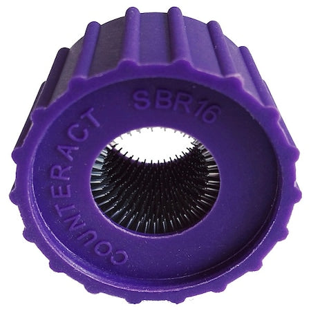 Stud Brush Rplacmnt,1-1/2" L Overall,PK2