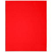 Sanding Sheet,9"x11",60G,PK4
