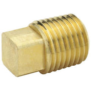 Square Head Plug Brass Square Head Plug, 1/2 in Male NPT X