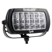 Trilliant Bi-Votage Flood