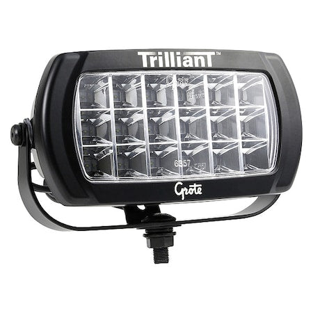 Trilliant Bi-Votage Flood