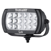 Trilliant Bi-Votage Flood