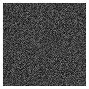 Entrance Runner, Nylon, 3/8 in Thick, Charcoal, 3 ft W x 12 ft L
