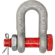 D-Shackle,24,000 lb,Carbon Steel