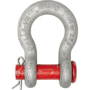 Anchor Shackle,19,000 lb,Carbon Steel