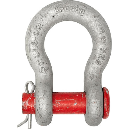 Anchor Shackle,19,000 lb,Carbon Steel