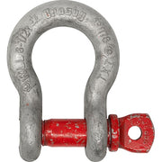 D-Shackle,70,000 lb,Carbon Steel