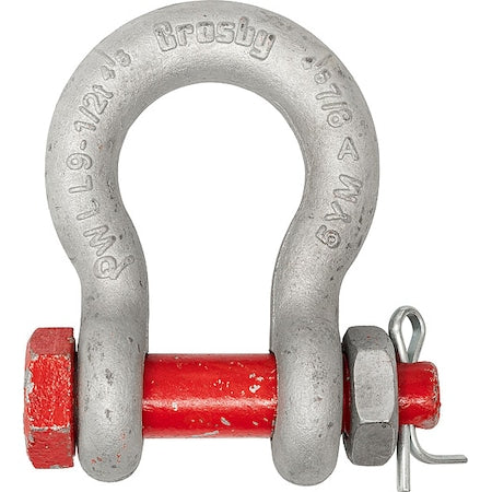 Anchor Shackle,80,000 lb,Alloy Steel