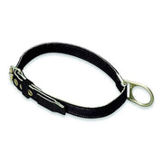 Body Belt, 1 D-Rings, Back Location, Stainless Steel, Includes Padding: No ,M