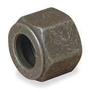 1/8" CPI SS Nut