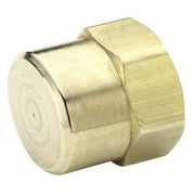 Brass Dryseal Pipe Fitting, FNPT, 3/8" Pipe Size