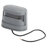 License Lamp