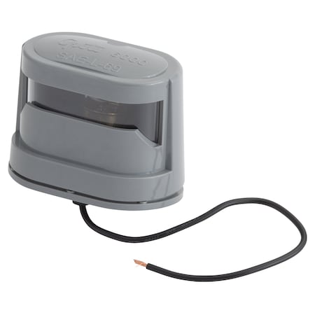 License Lamp