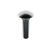 Carriage Bolt, Square Neck, 5/8"-11, 2 1/2 in L, Stainless Steel, 18-8, Not Applicable, 25 PK