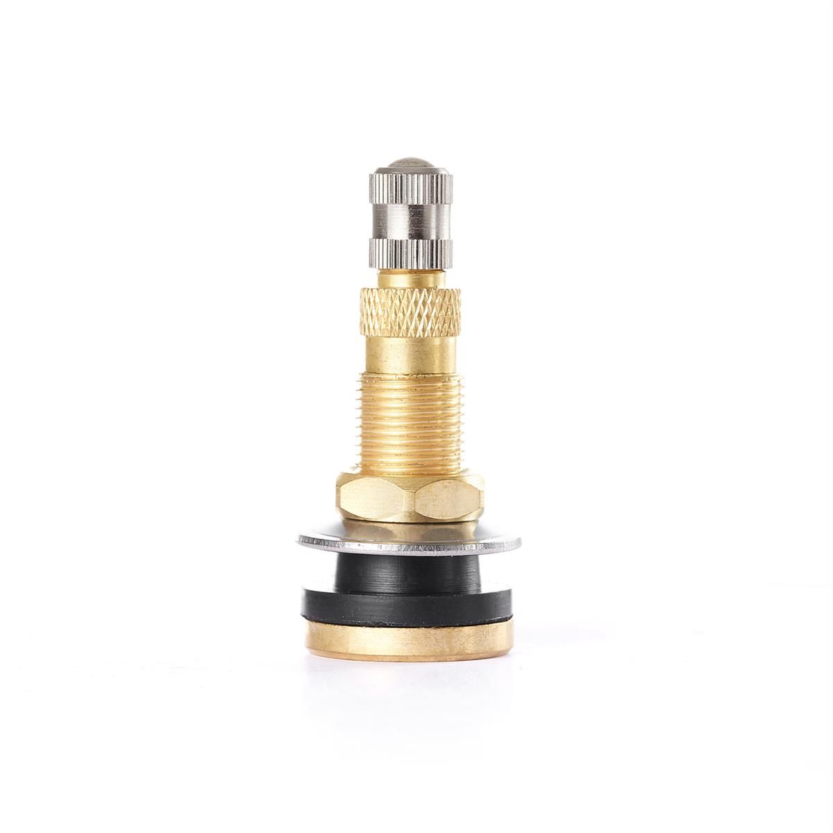 TR618A Air Liquid Tire Valve (Pack of 50)