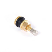 TR501 Brass Truck Valve (Pack of 50)