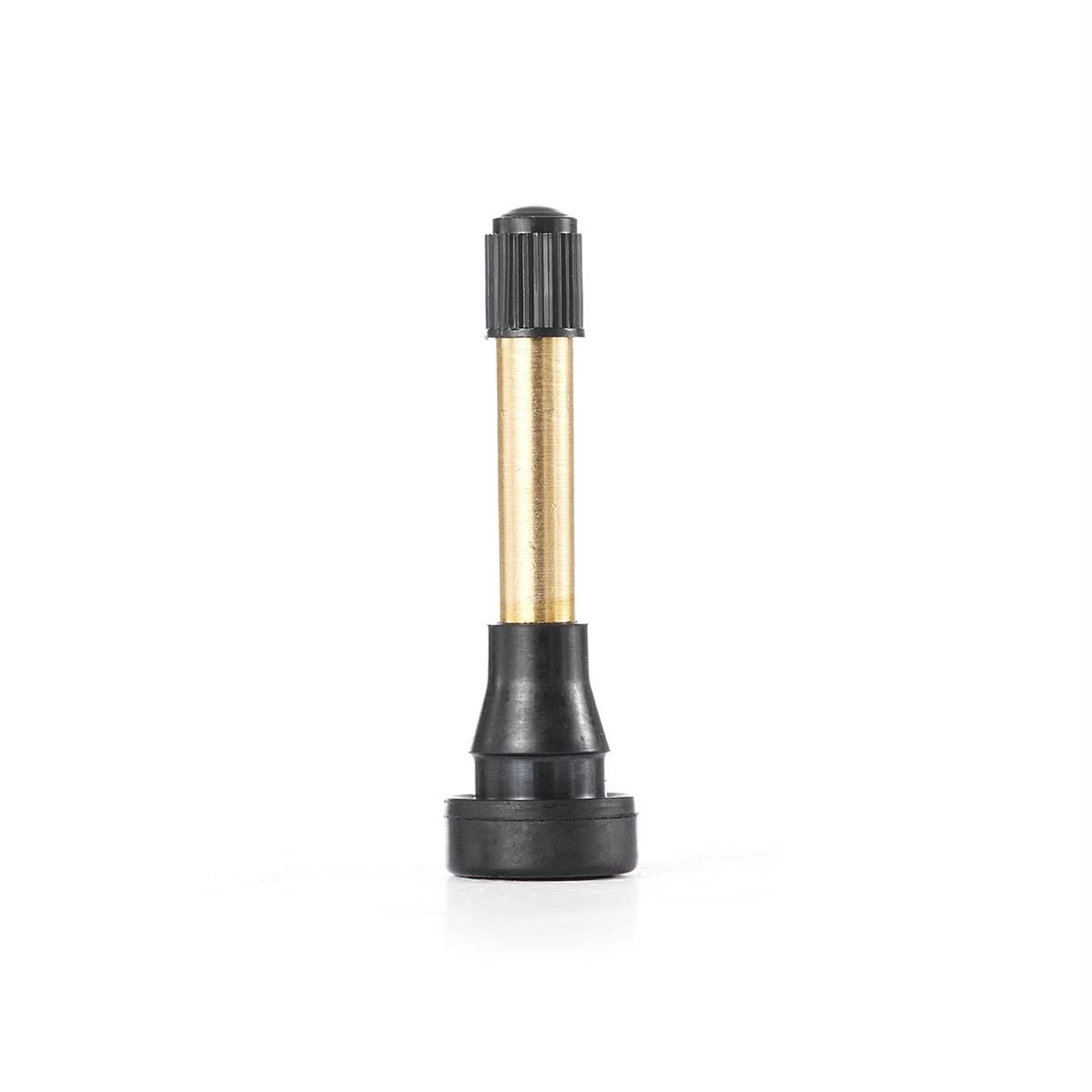 TR602HP High Pressure Snap-in Tire Valve with Brass Stem (Pack of 100)